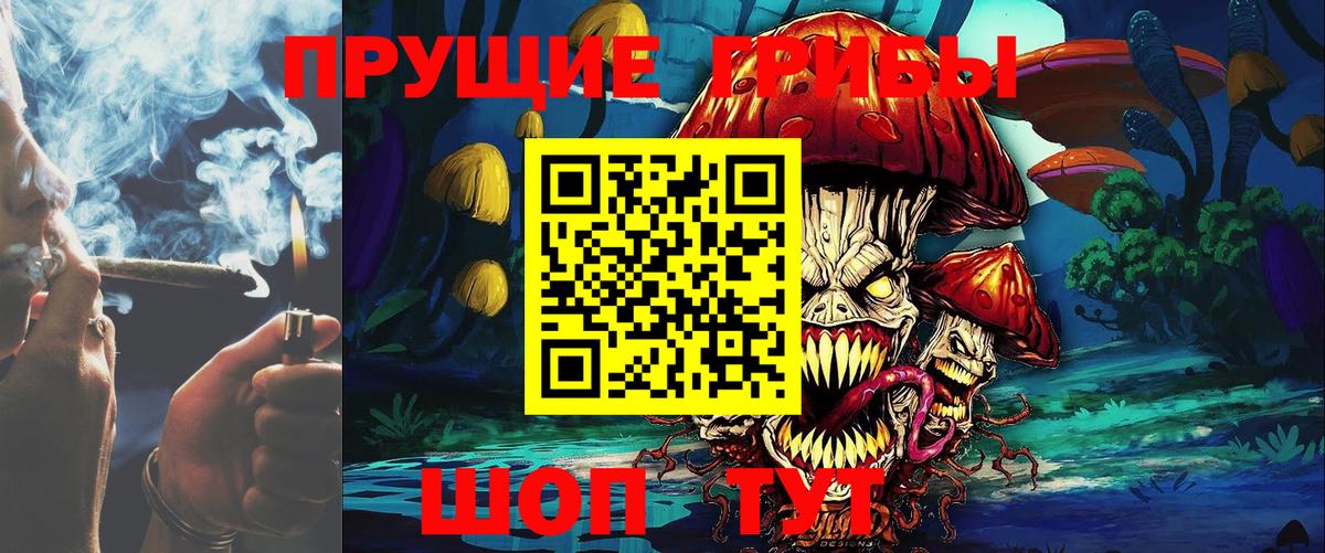 Псилоцибиновые грибы GOLDEN TEACHER Сухой Лог