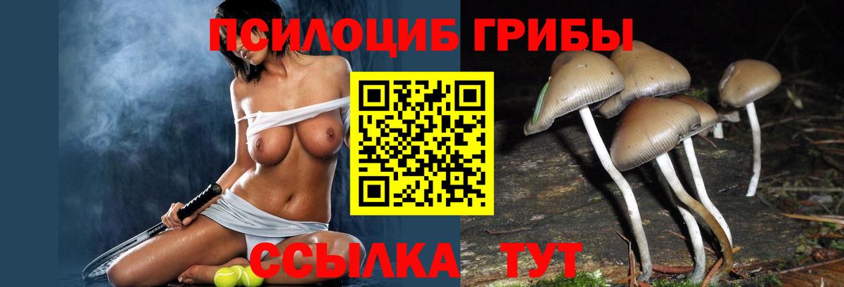Сухой Лог  Псилоцибиновые грибы GOLDEN TEACHER  купить   Вход с VPN 